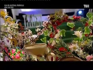 Eufimia Dogaru - Frunzulita foaie-n dunga (Tvh - 09.04.2017)