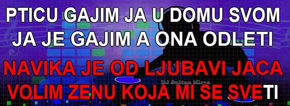 Navika je od ljubavi jača - Mitar Mirić (uživo karaoke)