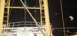 Wild Birds Invade Fishing Boat Amidst Sea During Storm