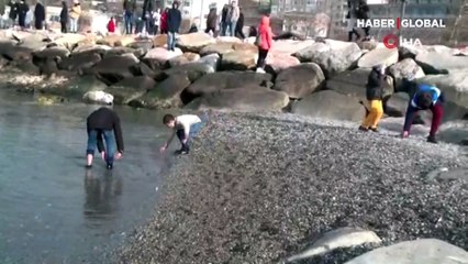 Balıkesir'de korkutan olay günlerdir devam ediyor! Çocuklar eğlenmeye geldi ama...