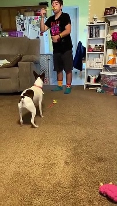 Princess discovers bubbles