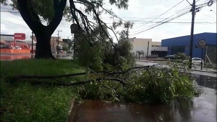 Danos são registrados na avenida Assunção, em Cascavel