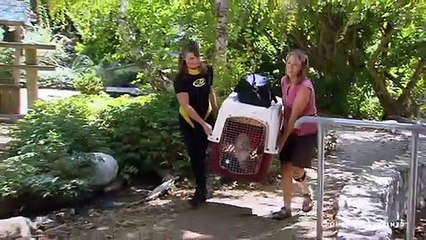 Nathan for You Saison 0 - Petting Zoo Hero (EN)