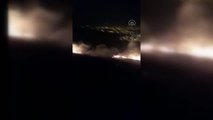 Son dakika haberleri | Samandağ'da çıkan orman yangını söndürüldü