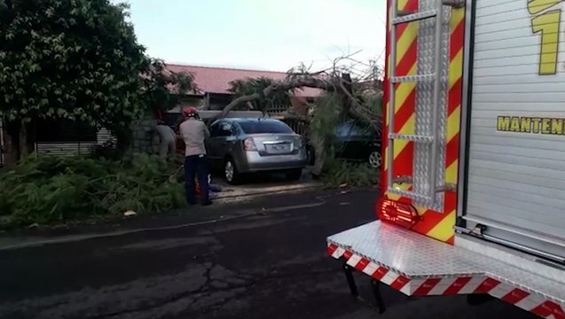 Árvore cai em cima de dois veículos no Bairro Tropical