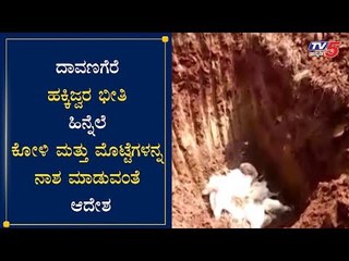ದಾವಣಗೆರೆಯಲ್ಲಿ ಹಕ್ಕಿ ಜ್ವರಕ್ಕೆ ಕಲ್ಲಿಂಗ್ ಆರ್ಡರ್​ | Davanagere | BirdFlue | TV5 Kannada