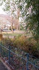 Muséum d'histoire naturelle de Grenoble (2)