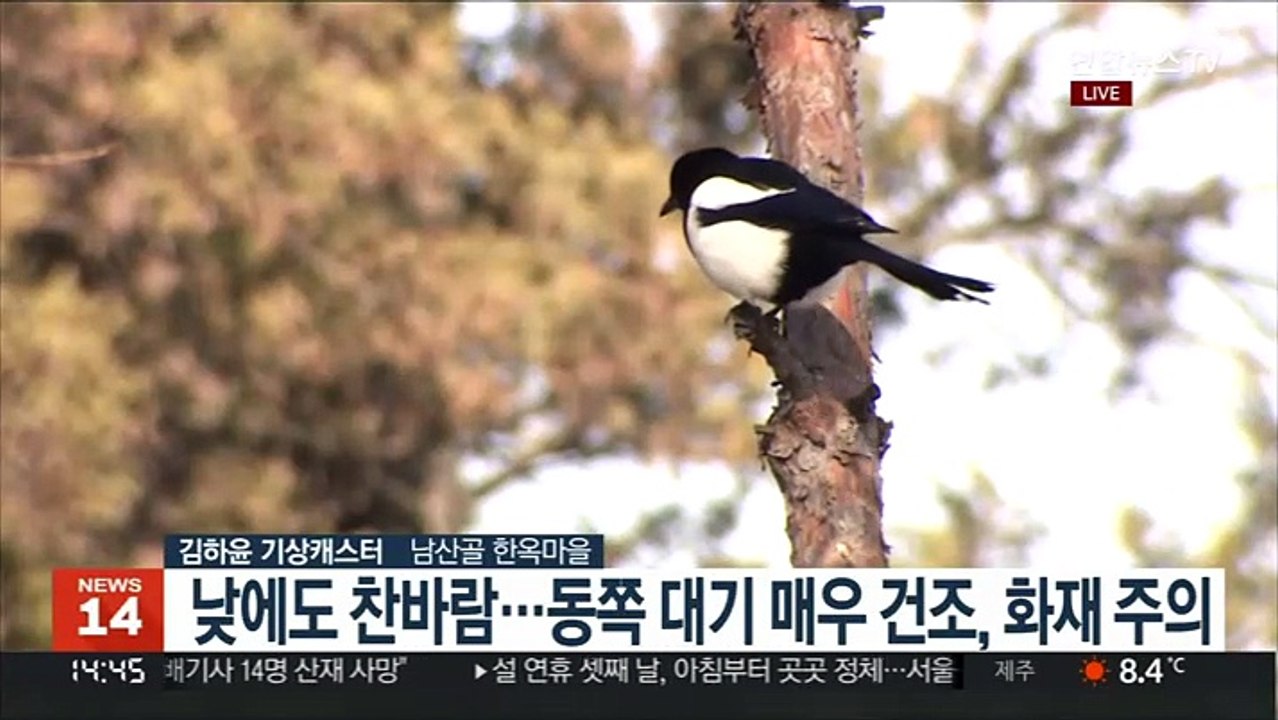 [날씨] 밤사이 전국 곳곳 눈…중부 최대 10cm 대설
