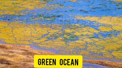 This is why the oceans appear blue.(Sharik's empire channel).