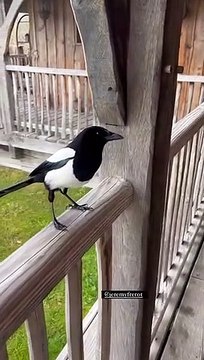 Laure Manaudou et Jérémy Frérot en week-end en amoureux aux Châteaux dans les arbres. Janvier 2022.