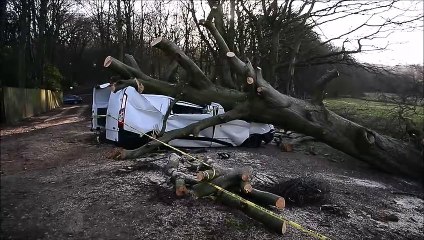White Van destroyed by fallen tree during Storm Malik
