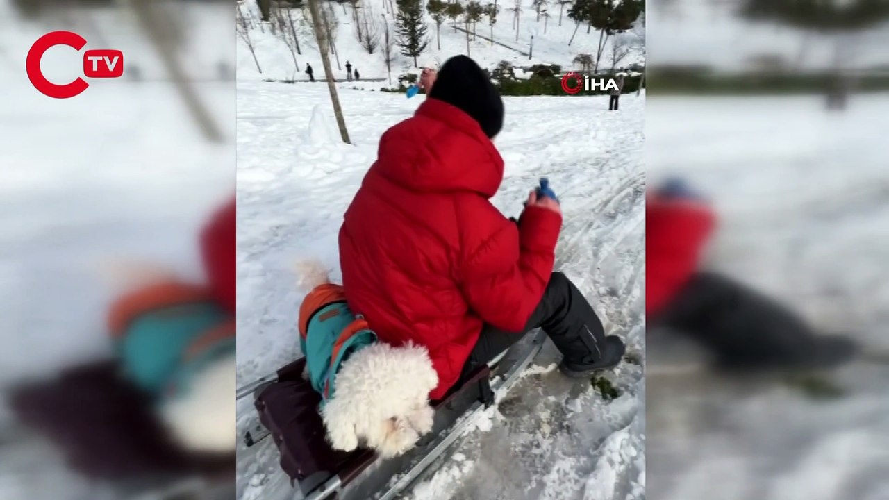 İstanbul’da köpeğin karda kayak keyfi gülümsetti
