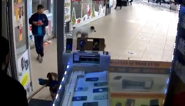 Esenyurt'ta başıboş köpeklerin vatandaşlara saldırı anı kamerada