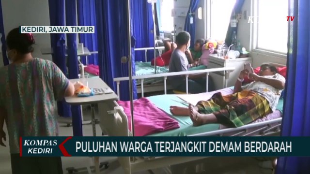Kasus Demam Berdarah di Kota Kediri Meningkat Drastis