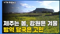 제주는 봄, 강원은 겨울...방역 당국은 고민 / YTN