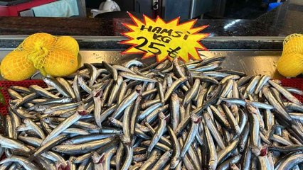 Deniz soğudu, balık bollaştı! Hamsinin kilosu 60 liradan 25 liraya düştü