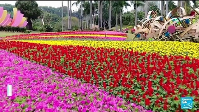 Chinese lunar new year: 'Tigers' everywhere as millions prepare for festivities