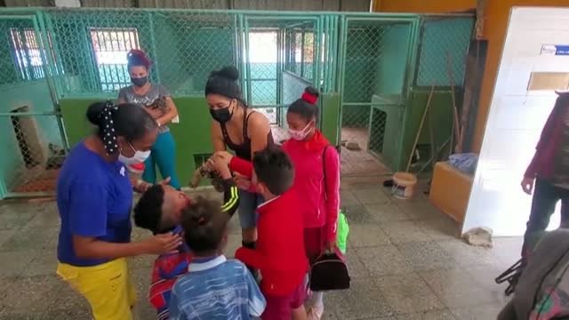 El zoo de Cuba ayuda al desarrollo de los niños con necesidades especiales con un programa gratuito de terapia con animales