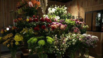 [BA]  Sur le front - Saint-Valentin : que cachent nos bouquets ? - 07/02/2022