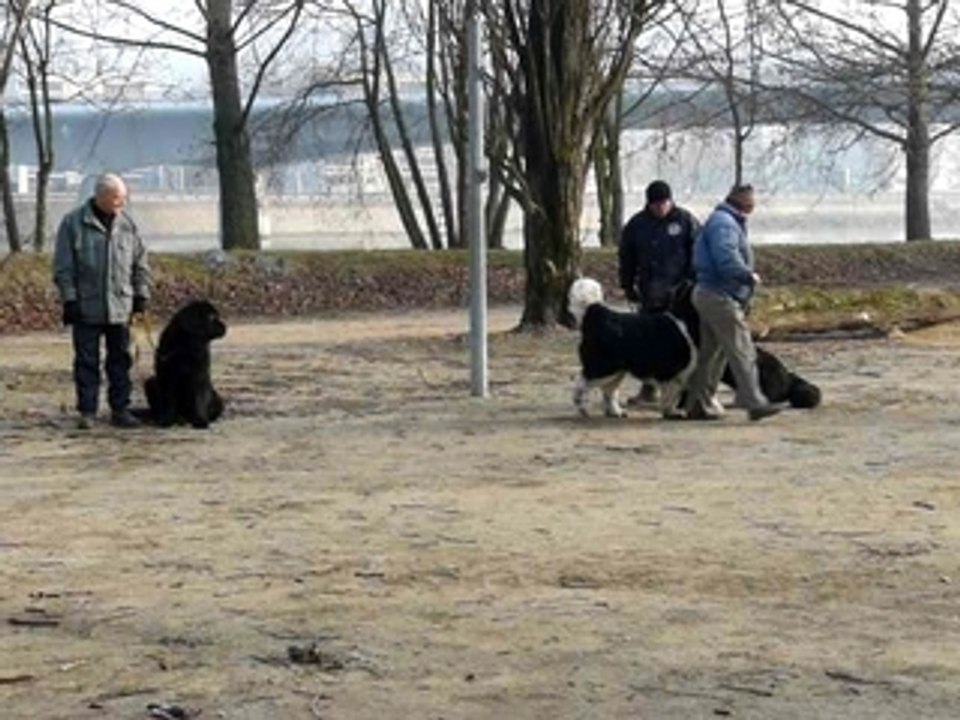 Entrainement 17-02-080051