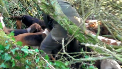 Warwickshire Hunt - Crimscote area