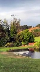 New funny fail videos 2022 _ Try not to laugh funny videos -LOL