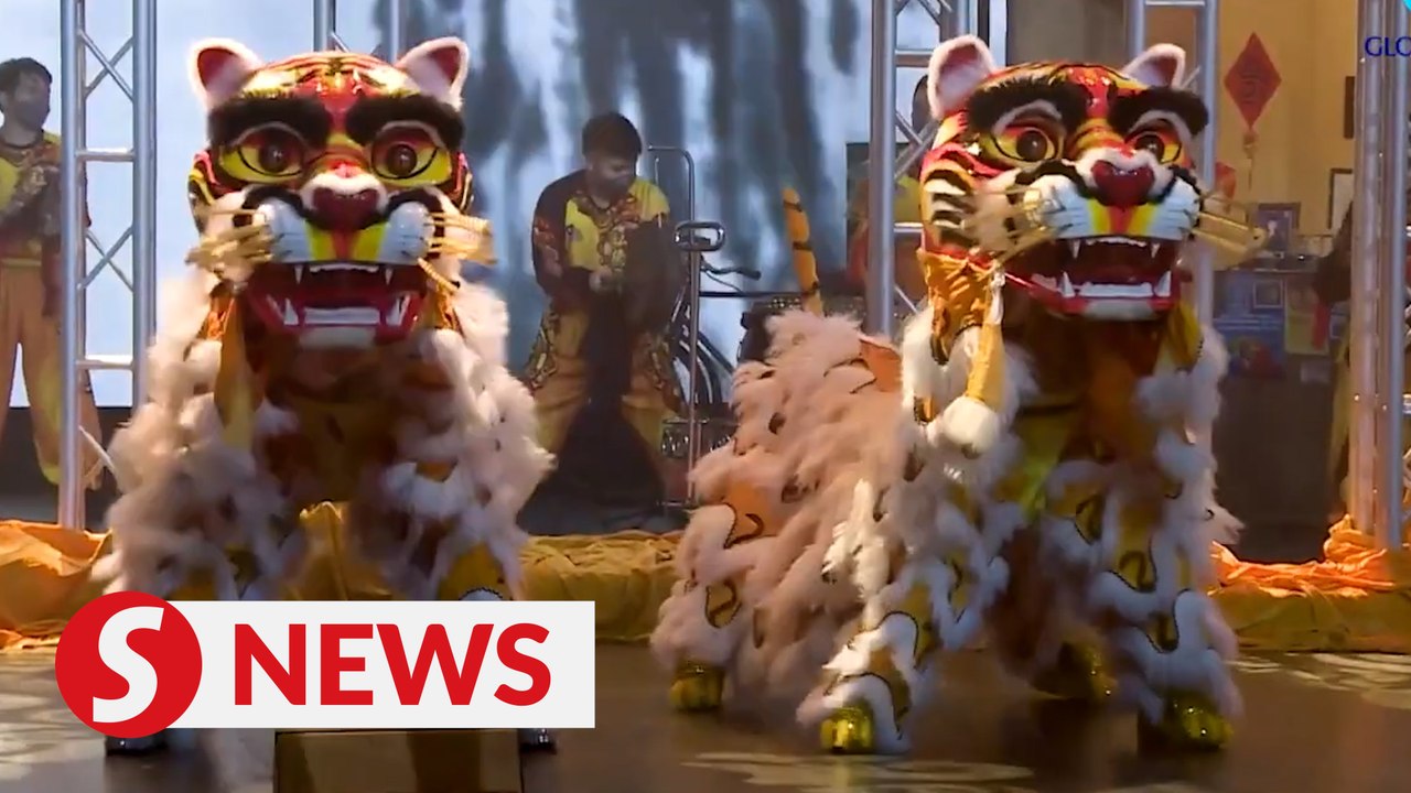 Return of tiger dance revitalises Chinese cultural heritage in Malaysia