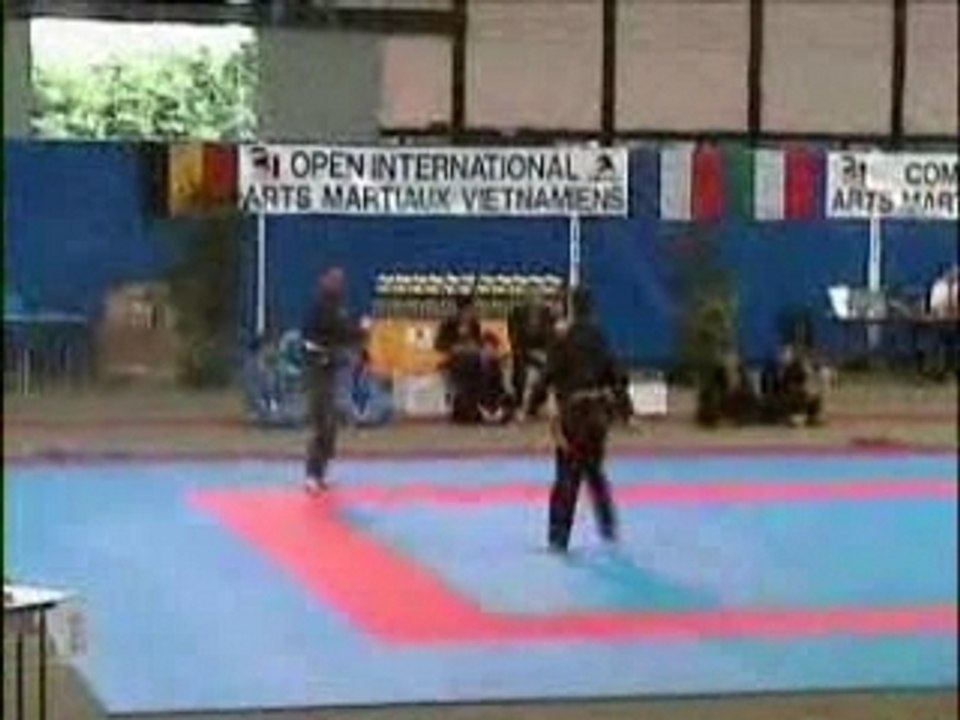 UVVDM Song Luyen Julien et Laurent Open International 2003