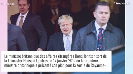 Boris Johnson cheveux décoiffés et blond platine : son look dingue décrypté