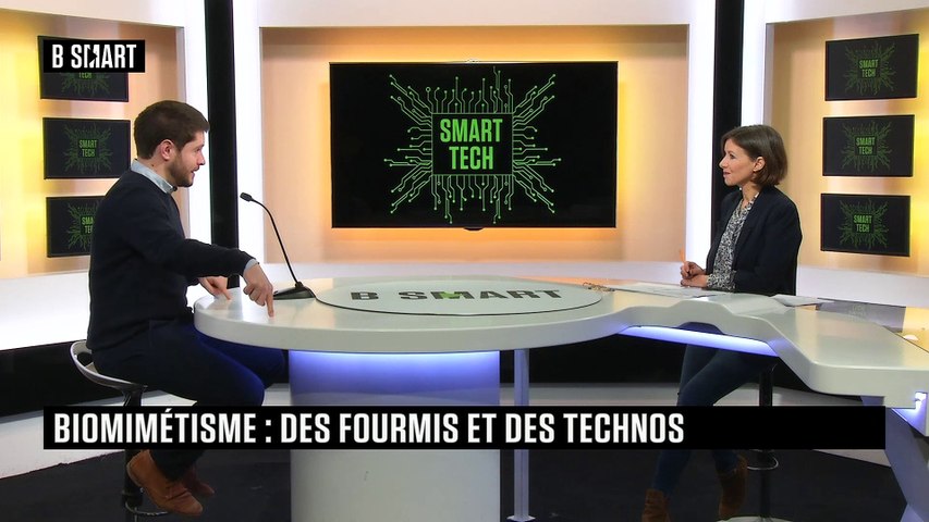 Biomimétisme : des fourmis et des technos 