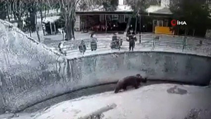 Özbekistan'da anne 3 yaşındaki kızını ayının yanına attı