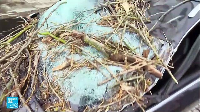 عاصفة ثلجية تضرب أوروبا