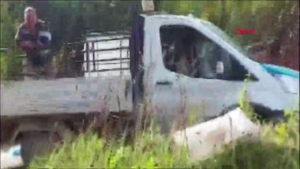 Mahsur kalan balıklar kurtarıldı