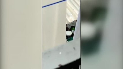 Un hombre da una paliza a un perro en Tarragona