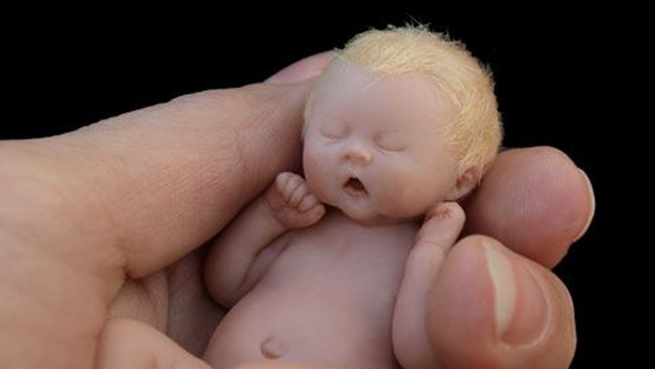 Ce bébé tient dans la paume de la main. Mais, dézoomer et voyez par vous-même !