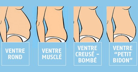 Dis moi comment est la forme de ton ventre, je te dirai comment le perdre