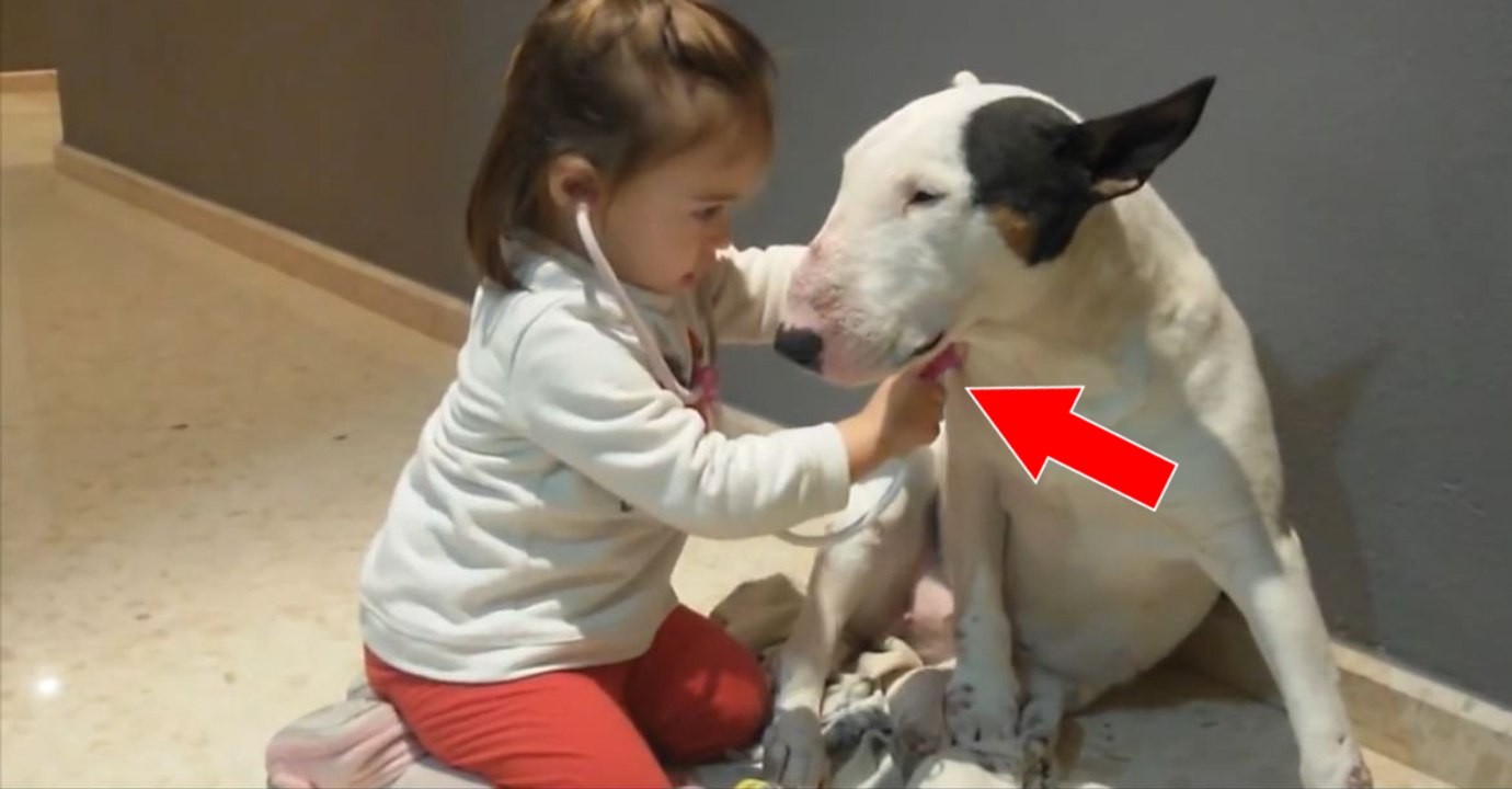Cette petite fille tente de jouer au docteur av...