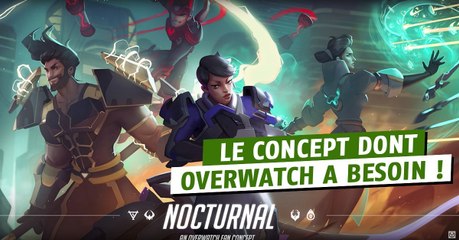 Overwatch : découvrez ce nouveau concept impressionnant d'un duo de héros