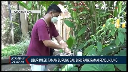 Bali Bird Park Ramai Saat Libur Imlek