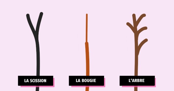 Dis moi quelle est la forme de tes pointes fourchues, je te dirai comment soigner tes cheveux !