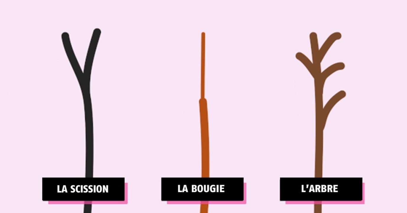Dis moi quelle est la forme de tes pointes fourchues, je te dirai comment soigner tes cheveux !