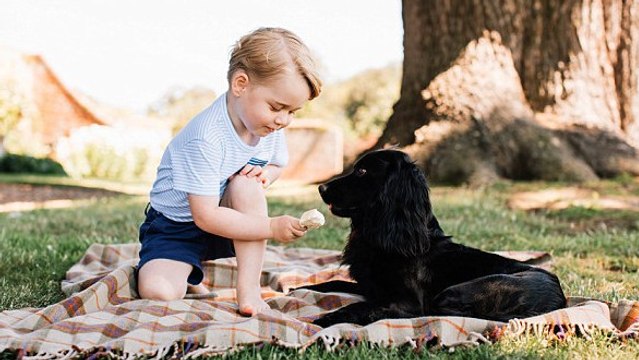 Kate Middleton et le Prince William : une photo du prince George et son chien crée la polémique