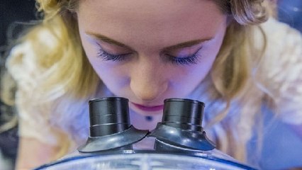 Des scientifiques ont trouvé un nouvel antibiotique... dans le nez humain