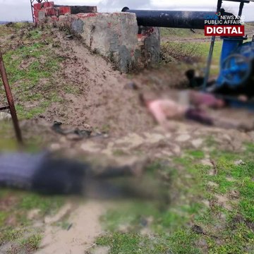 12 migrants, namatay sa lamig sa Turkey-Greece border | GMA News Feed