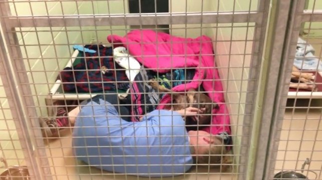 Elle trouve sa collègue recroquevillée dans une toute petite cage. La raison est très émouvante.