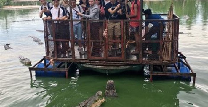 Une photo compromettante a obligé cette ferme au crocodile thaïlandaise à fermer