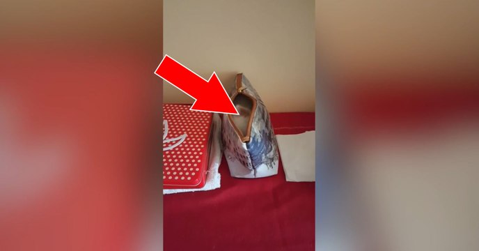 Devinez quelle adorable boule de poils se cache dans cette petite pochette