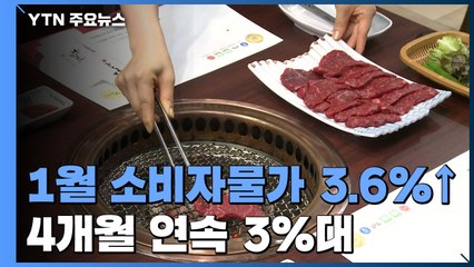 4개월 연속 3%대 고물가 행진..."당분간 상당 폭 오름세 지속" / YTN