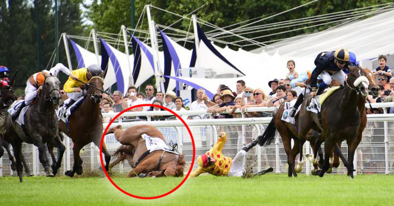 Le cheval Gold Fun fait une terrible chute à Deauville et meurt sur la piste