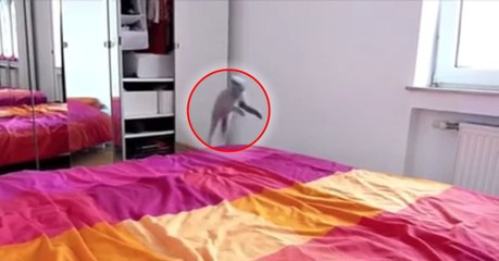 Ce petit chaton s'amuse à sauter dans tous les sens sur le lit de ses maîtres